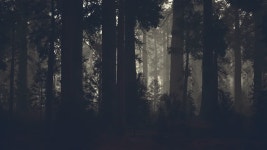 8,080 공포 스톡 영상 · 무비클립 · 비디오 - 123RF