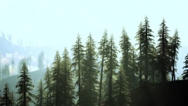 황혼의 언덕에 빛나는 소나무 숲 무비클립, 동영상, 영상,HD 영상, HD 비디오, HD 비디오클립. 무비클립 205191616. 황혼의 언덕에 빛나는... 