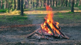 여름에 소나무 숲에서 저녁 모닥불이 타오른다. 불타는 모닥불, 모닥불을 위한 장소. Fire Pit Outdoors, Wood on Fire, 플라잉 스파크 및... 