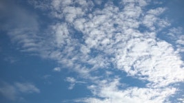 74 신성 스톡 영상 · 무비클립 · 비디오 - 123RF