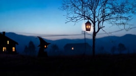 50,608 고양이 스톡 영상 · 무비클립 · 비디오 - 123RF