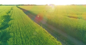 940 Thru Stock Footage and Video Clips in 4K and UHD - 123RF