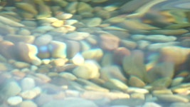 Speckle Stock Footage and Video Clips in 4K and UHD - 123RF