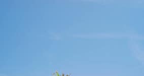 푸른 하늘, 바다, 그리고 파인애플을 들고 있는 여성의 손이 미국 하와이의 평화, 자유, 웰빙을 위해 열대 해변 모험을 하고 있습니다. 건강... 