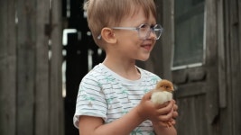 농장 뒤뜰에서 병아리를 손에 들고 있는 아이 무비클립, 동영상, 영상,HD 영상, HD 비디오, HD 비디오클립. 무비클립 191185644 농장 뒤뜰에서... 