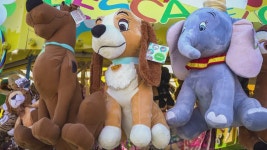 103 부재 스톡 영상 · 무비클립 · 비디오 - 123RF