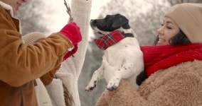 겨울 공원에서 재미있는 악세서리에 개를 데리고 있는 가족 무비클립, 동영상, 영상,HD 영상, HD 비디오, HD 비디오클립. 무비클립 192706987