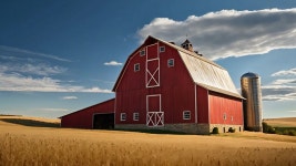 Barn Stock Footage and Video Clips in 4K and UHD - 123RF