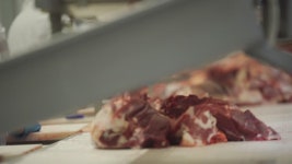 고기 공장의 컨베이어 벨트를 따라 고기 조각이 움직입니다. 무비클립, 동영상, 영상,HD 영상, HD 비디오, HD 비디오클립. 무비클립 192705639