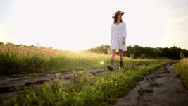 17,282 야생화 스톡 영상 · 무비클립 · 비디오 - 123RF