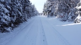 2,856 아슬 아슬한 스톡 영상 · 무비클립 · 비디오 - 123RF