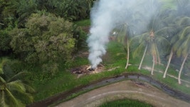 코코넛 나무 근처 농장의 야외 연소로 인한 대기 오염 무비클립, 동영상, 영상,HD 영상, HD 비디오, HD 비디오클립. 무비클립 216043059. 코코넛... 