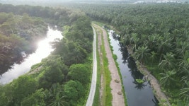 무성한 기름야자 농장을 흐르는 강 무비클립, 동영상, 영상,HD 영상, HD 비디오, HD 비디오클립. 무비클립 216043536 무성한 기름야자 농장을... 