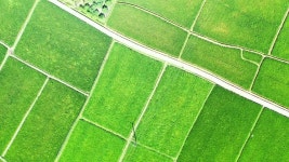 Fields 스톡 영상 · 무비클립 · 비디오 - 123RF