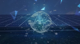 조개 스톡 영상 · 무비클립 · 비디오 - 123RF