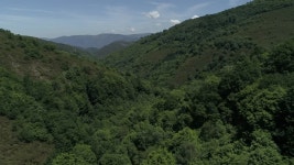 Lng Stock Footage and Video Clips in 4K and UHD - 123RF