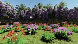 화창한 날 푸른 하늘 아래 화려한 꽃들로 정원을 날아다니는 나비와 새들 무비클립, 동영상, 영상,HD 영상, HD 비디오, HD 비디오클립.... 