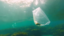 Woff #2 이미지, 사진, 상업적 이미지사이트 - 123RF