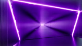 Z0w #12 Royalty Free Photos, Pictures, Images and Stock Photography