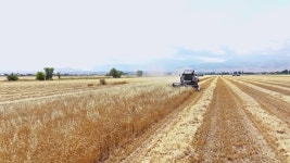 Z1b #1 Royalty Free Photos, Pictures, Images and Stock Photography