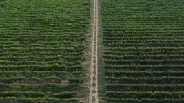 Zaikavirus #1 이미지, 사진, 상업적 이미지사이트 - 123RF