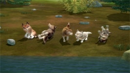 Tales Of Tatonka, Season 1 Episode 42 | SBS On Demand Tales Of Tatonka, Season 1 Episode 42