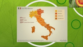 Classificazioni del Cibo e Vino 제작 Alessandra Pazzaglia on Prezi Video Classificazioni del Cibo e Vino