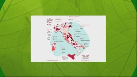Classificazioni del Cibo e Vino 제작 Alessandra Pazzaglia on Prezi Video Classificazioni del Cibo e Vino
