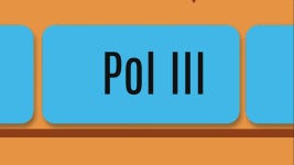 mTOR tentativa 1 제작 Isabela Beneti on Prezi Video mTOR tentativa 1