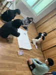 내가 만드는 꿈지도(내만꿈), Making Dream map by myself - 경기이룸학교 내가 만드는 꿈지도(내만꿈), Making Dream map by myself