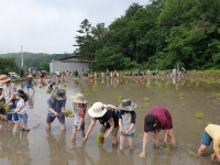 일놀이꿈의학교 일놀이농사와요리꿈의학교 일놀이적정기술꿈의학교 - 경기이룸학교 일놀이꿈의학교 일놀이농사와요리꿈의학교... 