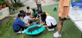 자연과 함께 놀자 - 경기이룸학교 자연과 함께 놀자