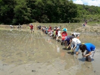 과천 농사와요리 적정기술 일놀이꿈의학교 - 경기이룸학교 과천 농사와요리 적정기술 일놀이꿈의학교