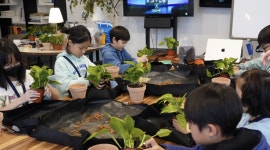 나만의 텃밭 만들기 - 경기이룸학교 나만의 텃밭 만들기