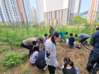 청소년아보리스트 - 마을교육공동체 (꿈의학교) 청소년아보리스트