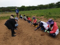 소나기팜 꿈의학교 - 경기이룸학교 소나기팜 꿈의학교