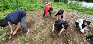 스마트팜꿈의학교 - 경기이룸학교 스마트팜꿈의학교