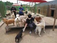 숨탄것 꿈의학교 - 경기이룸학교 숨탄것 꿈의학교