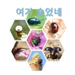 여기 숨었네 - 경기이룸학교 여기 숨었네