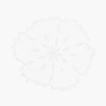 JPN 빈티지 구제 중고 R48067 아크릴 도일리(중) ACC 공용 FREE - 빈티지톡 아크릴 도일리(중) ACC 공용 FREE