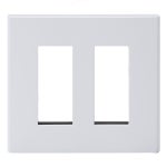 ISM