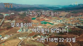 주성민 목사의 주담길
