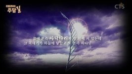 주성민 목사의 주담길