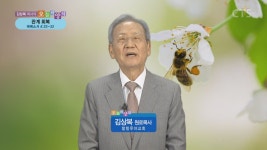 오늘의 양식