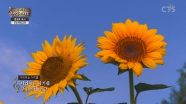 은혜로운 찬송이야기
