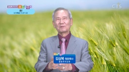 오늘의 양식:와!(누가복음 11:27-32)