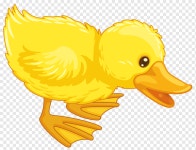 오리 만화, 오리, 동물, 치킨, 척골가있는 png | PNGWing