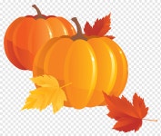 호박, 호박, 메이플 리프, 오렌지, 만화 png | PNGWing