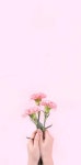 [0+] Aesthetic Baby Pink Pictures | Wallpapers.com