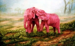 [100+] Pink Elephant Wallpapers | Wallpapers.com